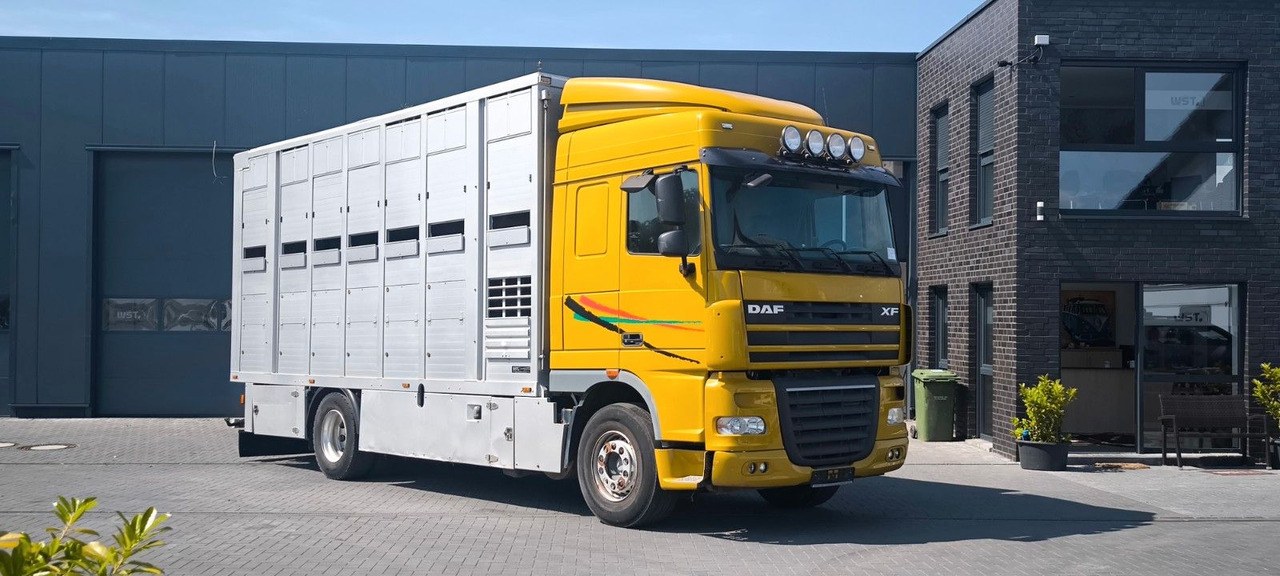 DAF XF 410 SC Menke Doppelstock - Kamioni za prevoz konja: slika 2 DAF XF 410 SC Menke Doppelstock - Kamioni za prevoz konja: slika 2
