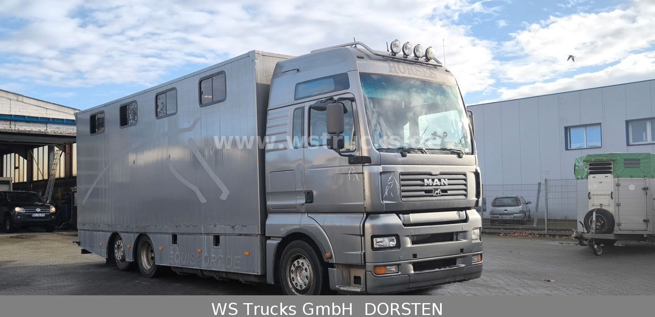 MAN TGA 26.480 FG 6x2 Pferdetransporter Luft/Luft - Kamioni za prevoz konja: slika 3 MAN TGA 26.480 FG 6x2 Pferdetransporter Luft/Luft - Kamioni za prevoz konja: slika 3