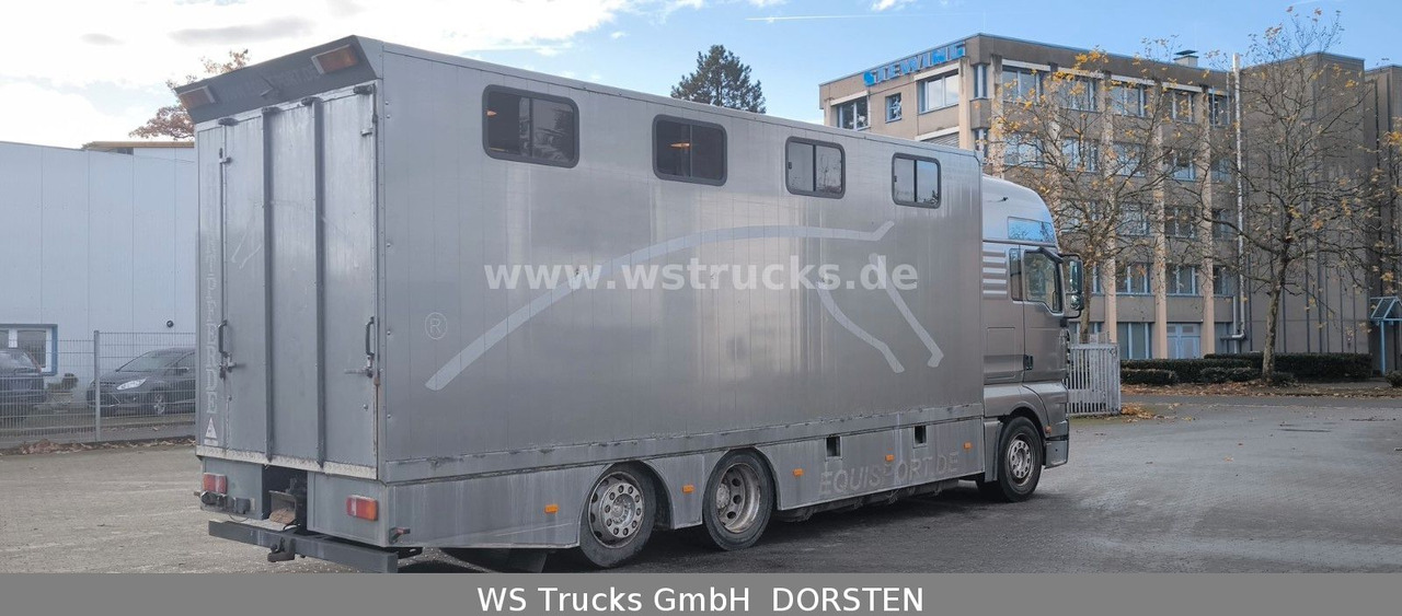 MAN TGA 26.480 FG 6x2 Pferdetransporter Luft/Luft - Kamioni za prevoz konja: slika 4 MAN TGA 26.480 FG 6x2 Pferdetransporter Luft/Luft - Kamioni za prevoz konja: slika 4