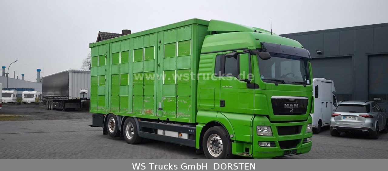 MAN TGX 26.480 XL KABA 3 Stock Viehtransporter - Kamioni za prevoz konja: slika 3 MAN TGX 26.480 XL KABA 3 Stock Viehtransporter - Kamioni za prevoz konja: slika 3