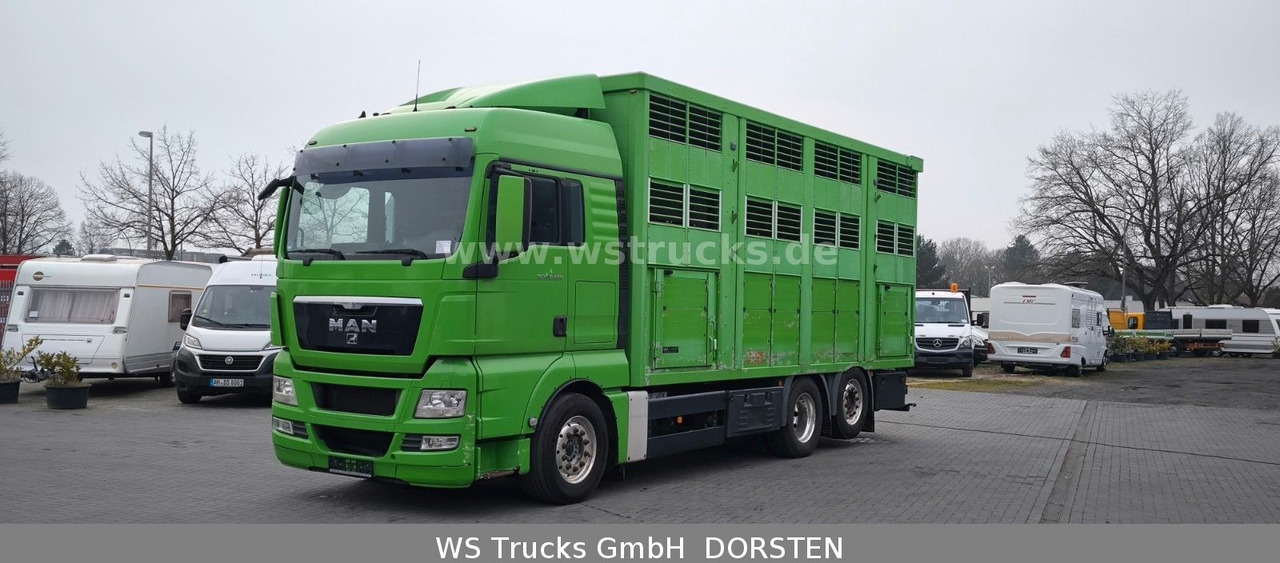 MAN TGX 26.480 XL KABA 3 Stock Vollalu - Kamioni za prevoz konja: slika 2 MAN TGX 26.480 XL KABA 3 Stock Vollalu - Kamioni za prevoz konja: slika 2