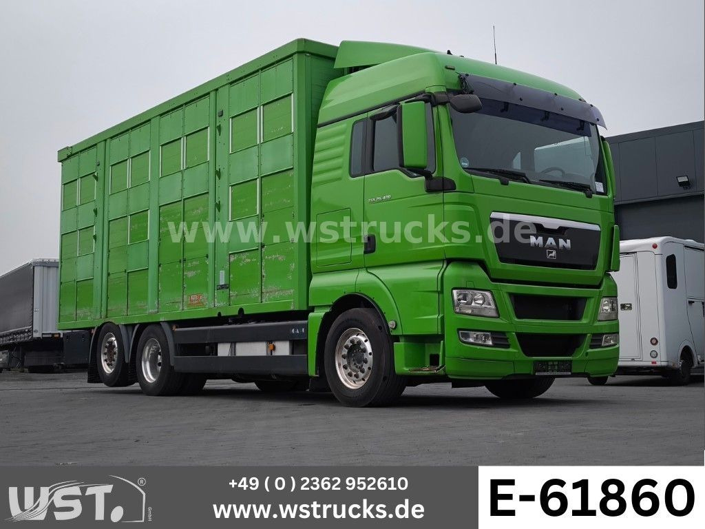 MAN TGX 26.480 XL KABA 3 Stock Vollalu - Kamioni za prevoz konja: slika 1 MAN TGX 26.480 XL KABA 3 Stock Vollalu - Kamioni za prevoz konja: slika 1