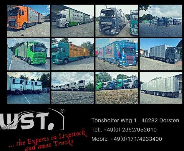 Poluprikolica sa zatvorenim sandukom Schmitz Cargobull SKO 24 Kühlauflieger Vector 1550 Strom/Diesel: slika 18
