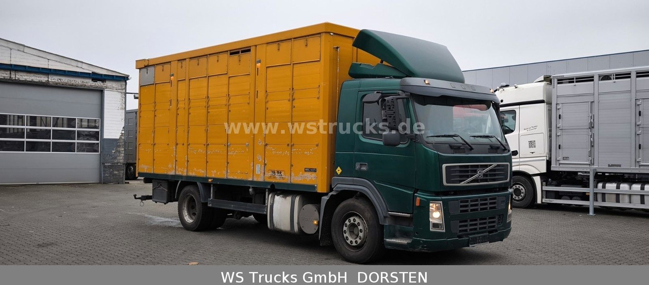 Volvo FM 260 mit KABA 2 Stock Vollalu - Kamioni za prevoz konja: slika 3 Volvo FM 260 mit KABA 2 Stock Vollalu - Kamioni za prevoz konja: slika 3