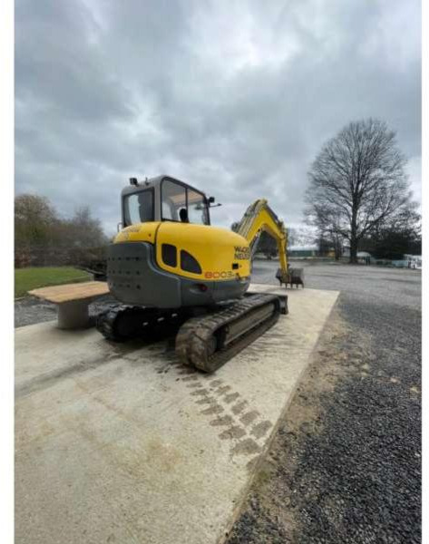 Wacker Neuson 8003 - Bager guseničar: slika 1 Wacker Neuson 8003 - Bager guseničar: slika 1