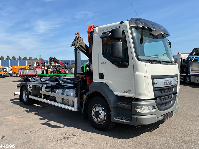 DAF FA LF 250 Euro 6 Palfinger 6,5 Tonmeter laadkraan - Kamion sa hidrauličnom kukom, Kamion sa dizalicom: slika 3 DAF FA LF 250 Euro 6 Palfinger 6,5 Tonmeter laadkraan - Kamion sa hidrauličnom kukom, Kamion sa dizalicom: slika 3
