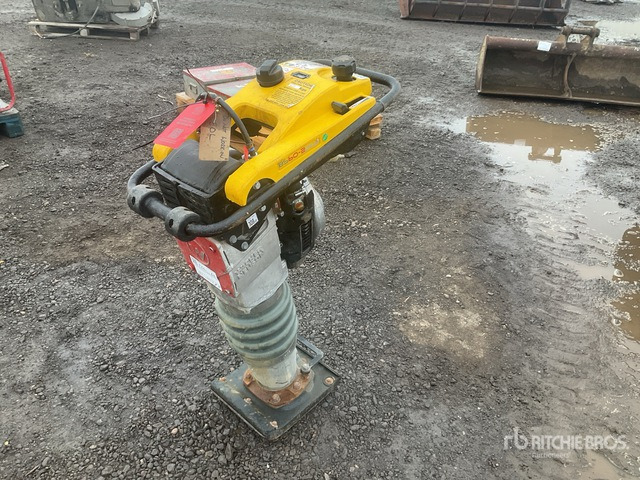 2020 Wacker Neuson BS50-2plus Demolition Breaker Jumping Jack Tamper - Nabijač: slika 1 2020 Wacker Neuson BS50-2plus Demolition Breaker Jumping Jack Tamper - Nabijač: slika 1