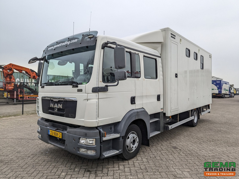 MAN TGL 12.180 4x2 DoKa 7 pers. Euro5 EEV - Paardenwagen 2-Paards - 147.000km! - MARGE - Kamioni za prevoz konja: slika 3 MAN TGL 12.180 4x2 DoKa 7 pers. Euro5 EEV - Paardenwagen 2-Paards - 147.000km! - MARGE - Kamioni za prevoz konja: slika 3