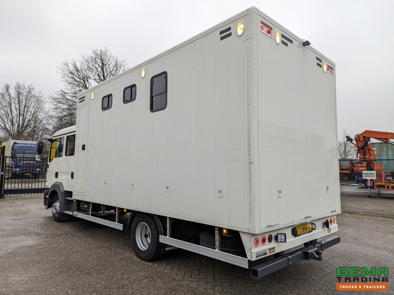 MAN TGL 12.180 4x2 DoKa 7 pers. Euro5 EEV - Paardenwagen 2-Paards - 147.000km! - MARGE - Kamioni za prevoz konja: slika 4 MAN TGL 12.180 4x2 DoKa 7 pers. Euro5 EEV - Paardenwagen 2-Paards - 147.000km! - MARGE - Kamioni za prevoz konja: slika 4