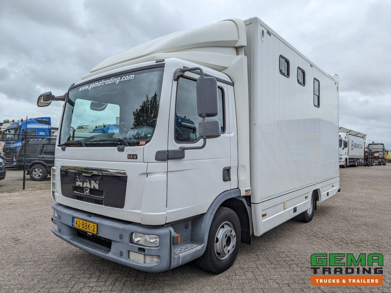 MAN TGL 12.250 4x2 Euro5 EEV RC HorseTruck - 2a3 Paards - 135.000km - MARGE (V821) - Kamioni za prevoz konja: slika 2 MAN TGL 12.250 4x2 Euro5 EEV RC HorseTruck - 2a3 Paards - 135.000km - MARGE (V821) - Kamioni za prevoz konja: slika 2