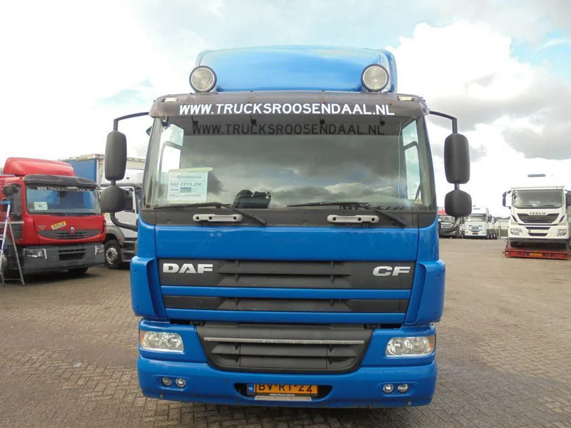 DAF CF 75.250 + Euro 5 - Kamion sa golom šasijom i zatvorenom kabinom: slika 2 DAF CF 75.250 + Euro 5 - Kamion sa golom šasijom i zatvorenom kabinom: slika 2
