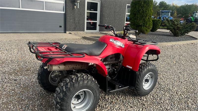 Yamaha Big bear 250  Yamaha Big bear 250: slika 13