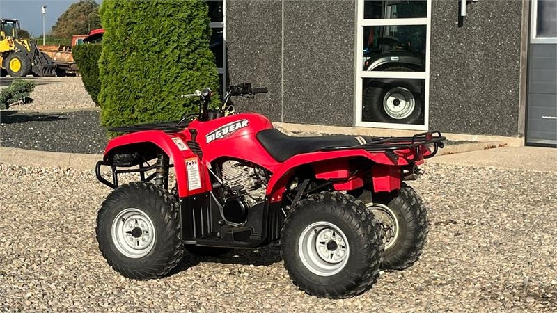 Yamaha Big bear 250  Yamaha Big bear 250: slika 6