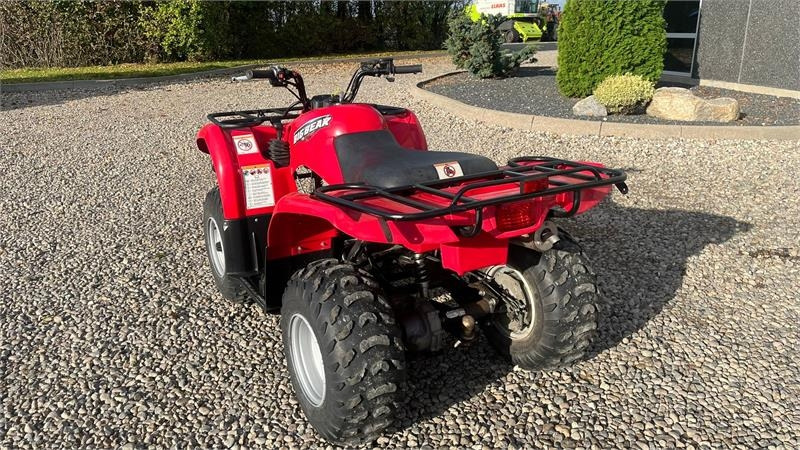 Yamaha Big bear 250  Yamaha Big bear 250: slika 7
