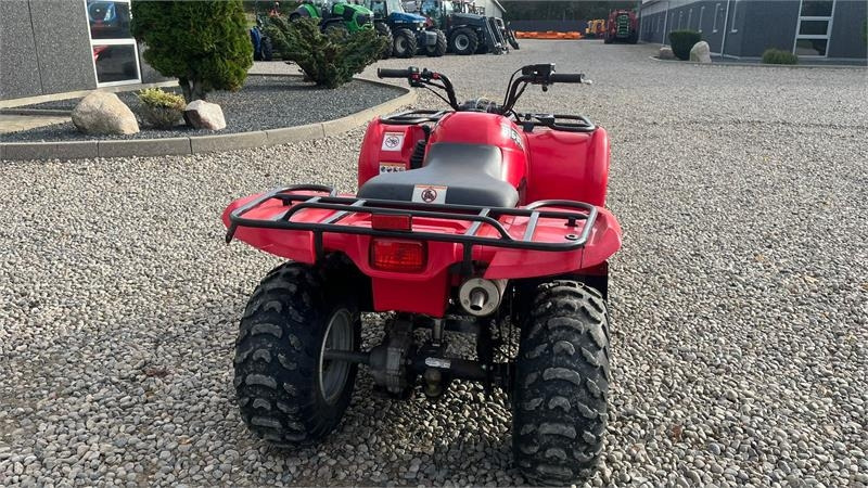 Yamaha Big bear 250  Yamaha Big bear 250: slika 16