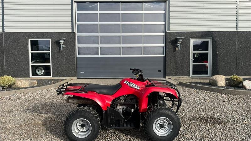 Yamaha Big bear 250  Yamaha Big bear 250: slika 11
