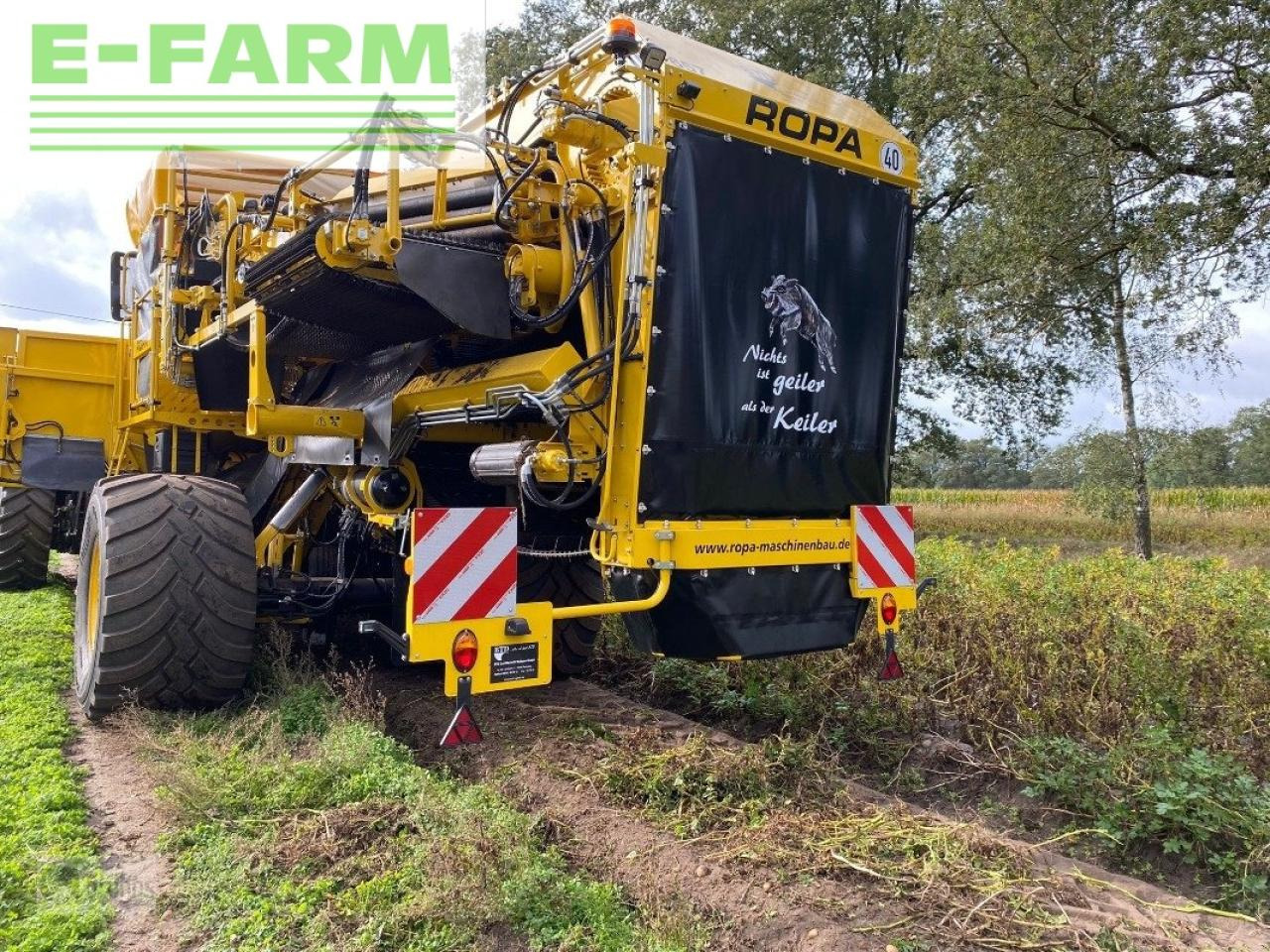 Ropa keiler ii - Kombajn za krompir: slika 1 Ropa keiler ii - Kombajn za krompir: slika 1