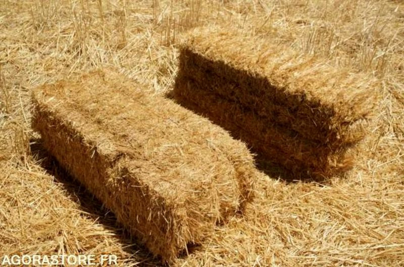 200 Bottes de paille de blé année 2025 - Baštenska oprema: slika 1 200 Bottes de paille de blé année 2025 - Baštenska oprema: slika 1