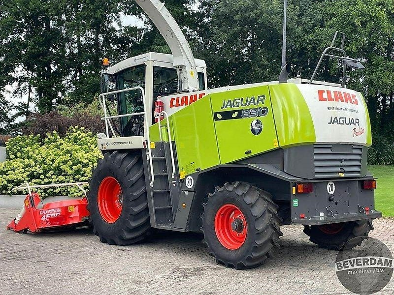 Claas Jaguar 830 492 - Poljoprivredna mašina: slika 3 Claas Jaguar 830 492 - Poljoprivredna mašina: slika 3