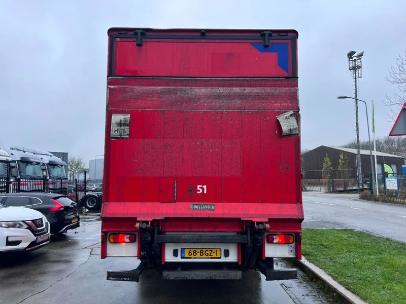 Volvo FL 250 4X2 EURO 6 599.111km DHOLLANDIA - Kamion sa zatvorenim sandukom: slika 5 Volvo FL 250 4X2 EURO 6 599.111km DHOLLANDIA - Kamion sa zatvorenim sandukom: slika 5