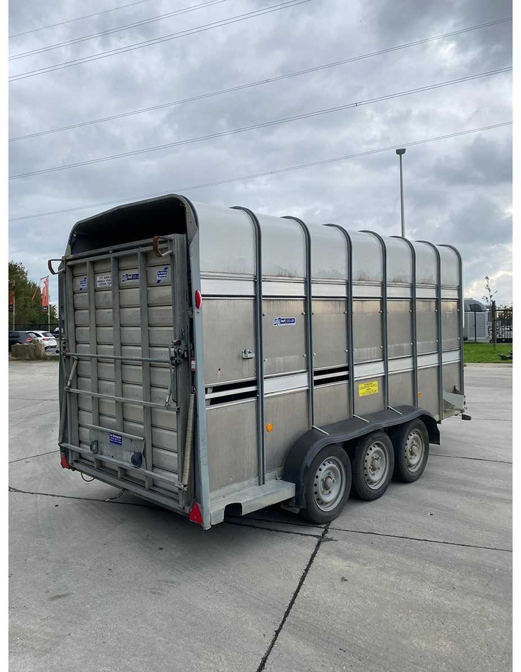 Ifor Williams TA510G14/3 7' L/R - Prikolica za prevoz stoke: slika 5 Ifor Williams TA510G14/3 7' L/R - Prikolica za prevoz stoke: slika 5