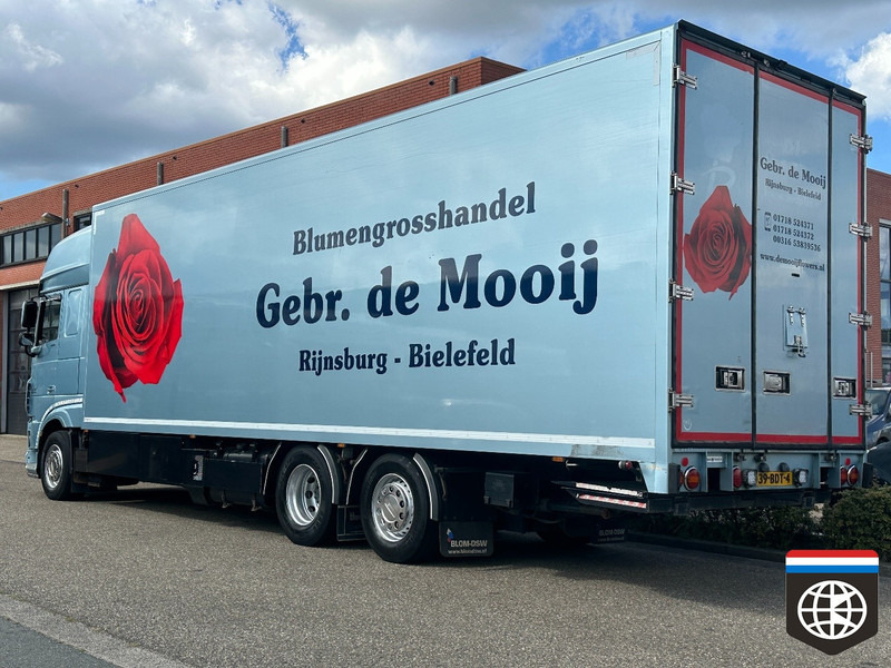 DAF XF 460 FAN TRS ICELAND / SMART TACHO 2 /FLOWERS / RACE / HORSE - Hladnjača: slika 4 DAF XF 460 FAN TRS ICELAND / SMART TACHO 2 /FLOWERS / RACE / HORSE - Hladnjača: slika 4