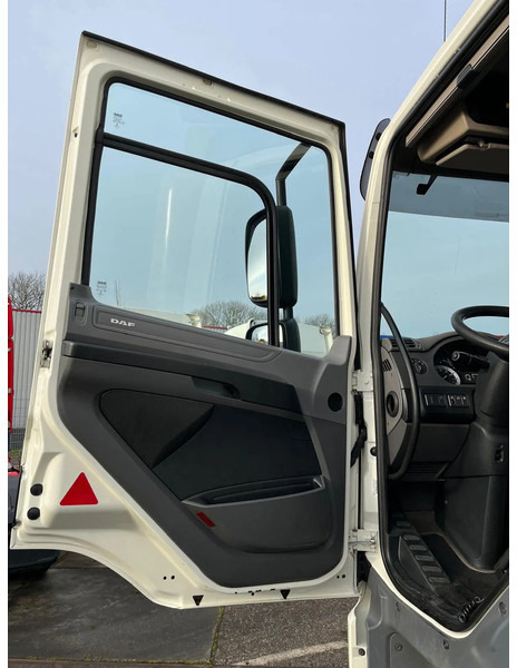 Kamion sa golom šasijom i zatvorenom kabinom DAF CF 260 CF 260 FA CHASSIS CABINE EURO 6: slika 8