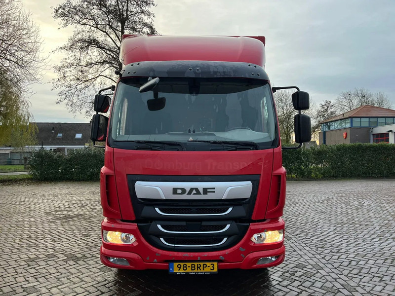 DAF LF 260 Fa - Kamion sa zatvorenim sandukom: slika 3 DAF LF 260 Fa - Kamion sa zatvorenim sandukom: slika 3