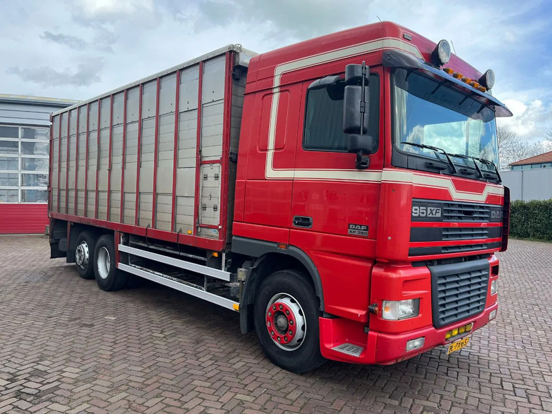 DAF XF FAR 95XF.380 EURO 2 - Kamion za prevoz stoke: slika 3 DAF XF FAR 95XF.380 EURO 2 - Kamion za prevoz stoke: slika 3