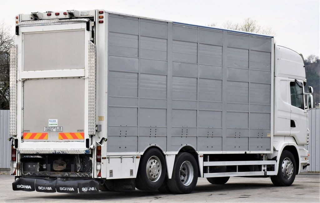 Scania R 500 TIERTRANSPORTWAGEN 7,10m / 4STOCK Scania R 500 TIERTRANSPORTWAGEN 7,10m / 4STOCK - Kamion za prevoz stoke: slika 5 Scania R 500 TIERTRANSPORTWAGEN 7,10m / 4STOCK Scania R 500 TIERTRANSPORTWAGEN 7,10m / 4STOCK - Kamion za prevoz stoke: slika 5