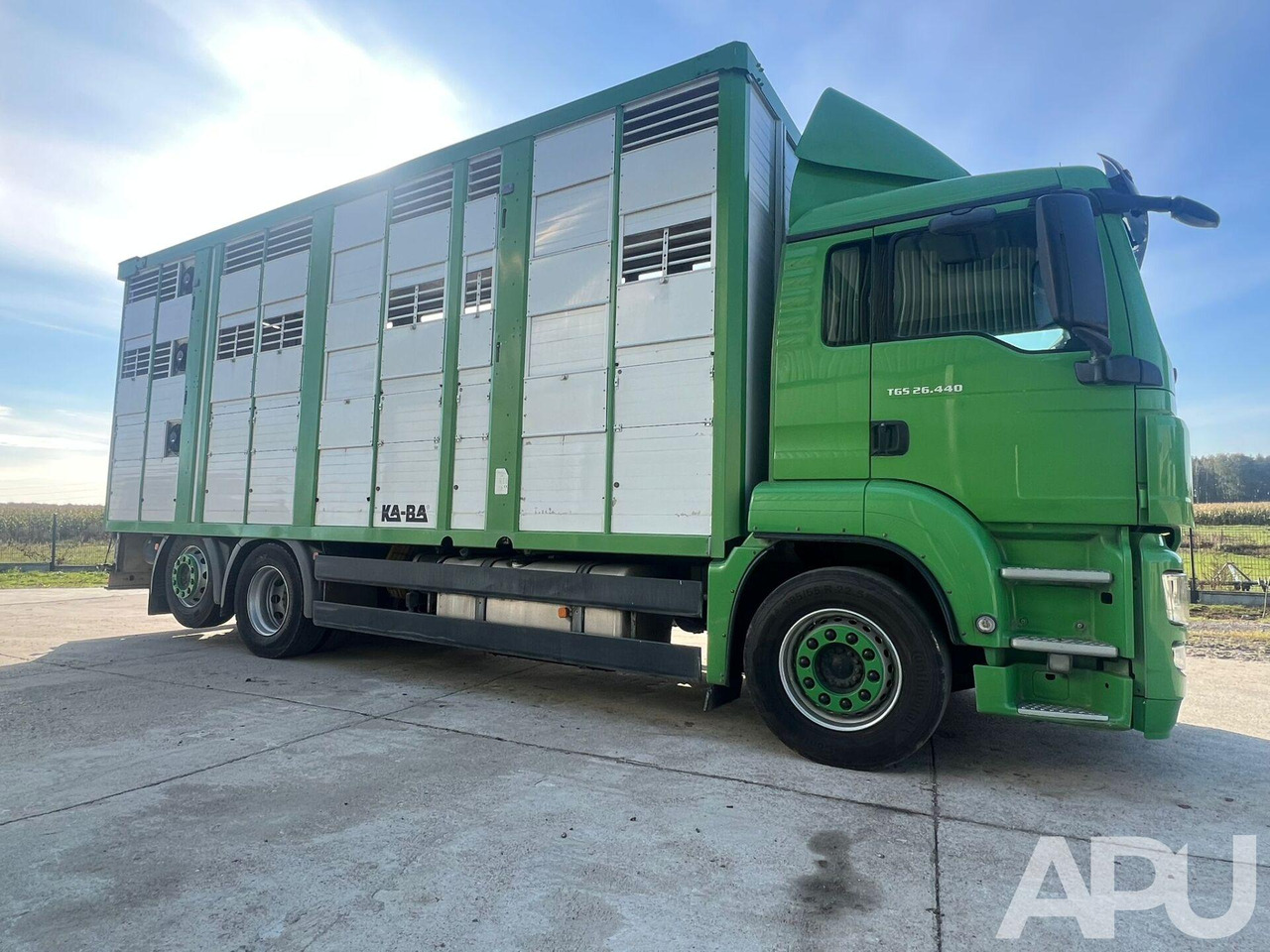 MAN TGS 26.440 DO PRZEWOZU BYDŁA MAN TGS 26.440 DO PRZEWOZU BYDŁA: slika 6