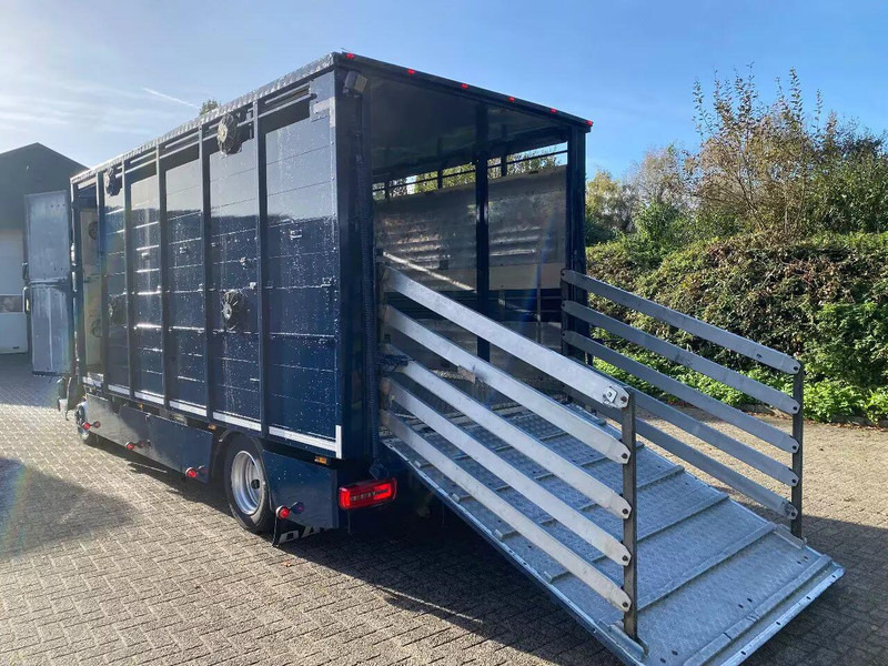 DAF LF 280 - Kamion za prevoz stoke: slika 5 DAF LF 280 - Kamion za prevoz stoke: slika 5