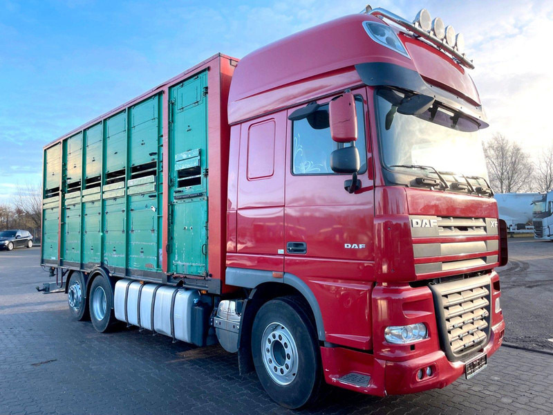 DAF XF 105.460 2-Stock Finkl Viehaufbau / Lenkachs - Kamion za prevoz stoke: slika 1 DAF XF 105.460 2-Stock Finkl Viehaufbau / Lenkachs - Kamion za prevoz stoke: slika 1