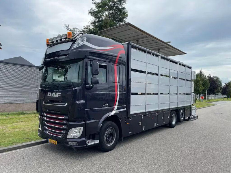 DAF XF 460 - Animal transporter - Kamion za prevoz stoke: slika 3 DAF XF 460 - Animal transporter - Kamion za prevoz stoke: slika 3