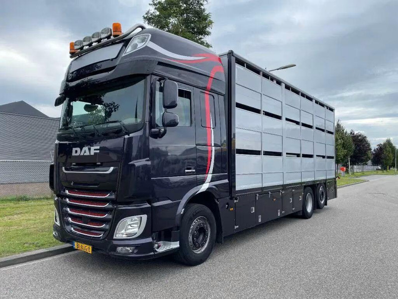 DAF XF 460 - Animal transporter - Kamion za prevoz stoke: slika 1 DAF XF 460 - Animal transporter - Kamion za prevoz stoke: slika 1