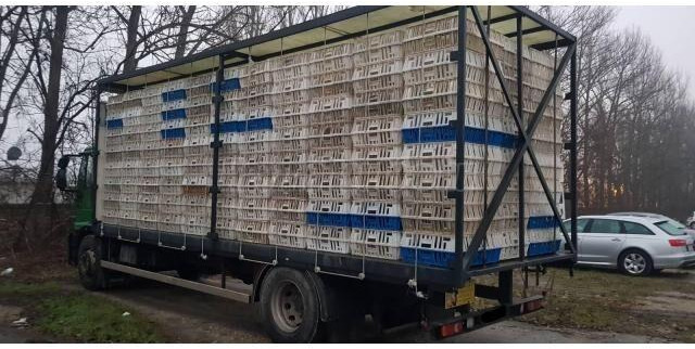 Iveco Eurocargo 180E28 - Kamion za prevoz stoke: slika 3 Iveco Eurocargo 180E28 - Kamion za prevoz stoke: slika 3