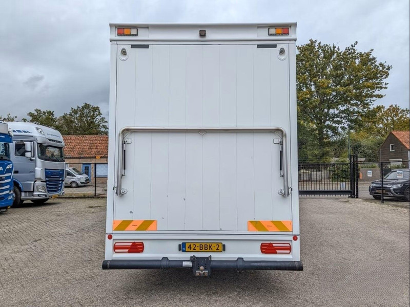 MAN TGL 12.250 - Horse transporter - Kamioni za prevoz konja: slika 4 MAN TGL 12.250 - Horse transporter - Kamioni za prevoz konja: slika 4