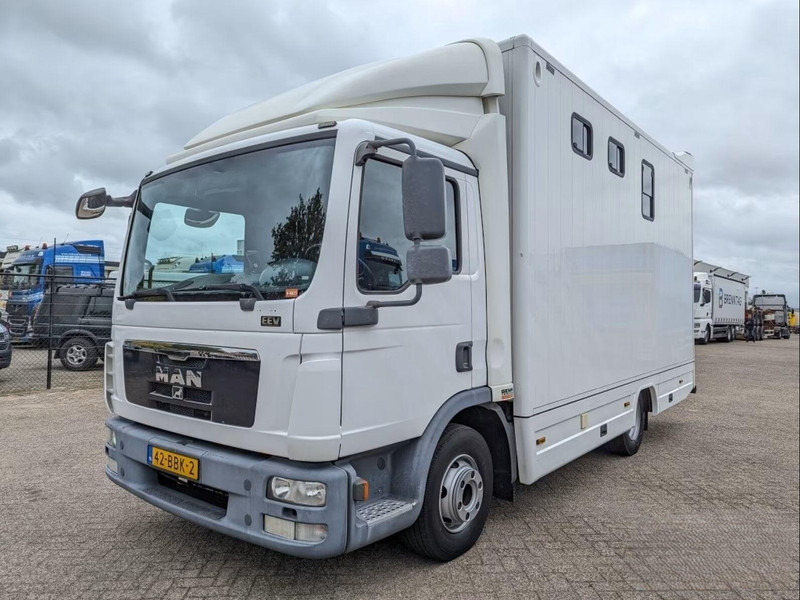 MAN TGL 12.250 - Horse transporter - Kamioni za prevoz konja: slika 1 MAN TGL 12.250 - Horse transporter - Kamioni za prevoz konja: slika 1