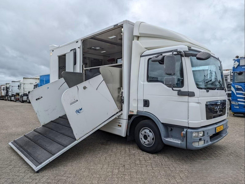 MAN TGL 12.250 - Horse transporter - Kamioni za prevoz konja: slika 2 MAN TGL 12.250 - Horse transporter - Kamioni za prevoz konja: slika 2
