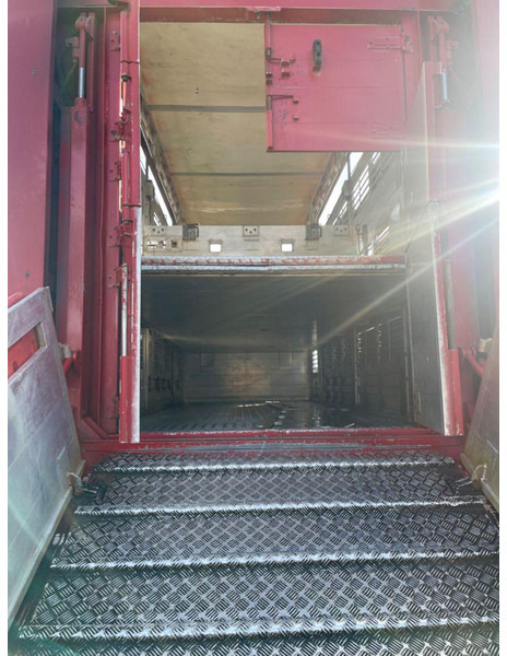 Kamion za prevoz stoke MAN TGX 26.400 6x2-2 LL 3 Stück Finkl Hubdach: slika 10