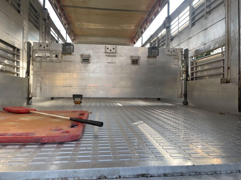 Kamion za prevoz stoke MAN TGX 26.400 6x2-2 LL 3 Stück Finkl Hubdach: slika 13