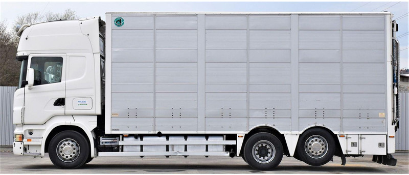 Scania R 500 - Kamion za prevoz stoke: slika 3 Scania R 500 - Kamion za prevoz stoke: slika 3