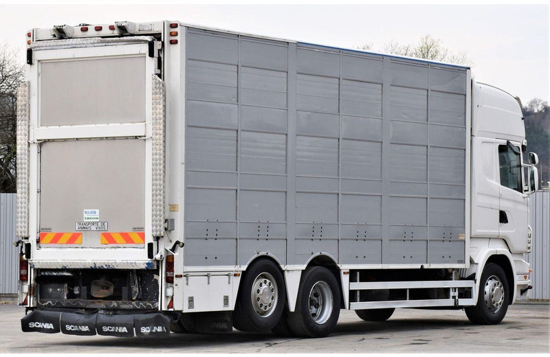 Scania R 500 - Kamion za prevoz stoke: slika 5 Scania R 500 - Kamion za prevoz stoke: slika 5