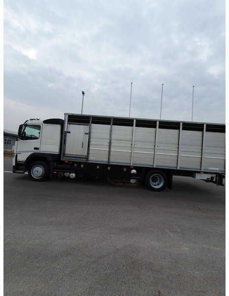 Volvo FM 500 Viehtransporter ( Rind / beef ) - Kamion za prevoz stoke: slika 5 Volvo FM 500 Viehtransporter ( Rind / beef ) - Kamion za prevoz stoke: slika 5