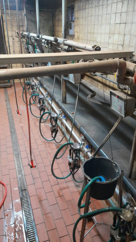 Melkstand - Oprema za mužu: slika 2 Melkstand - Oprema za mužu: slika 2