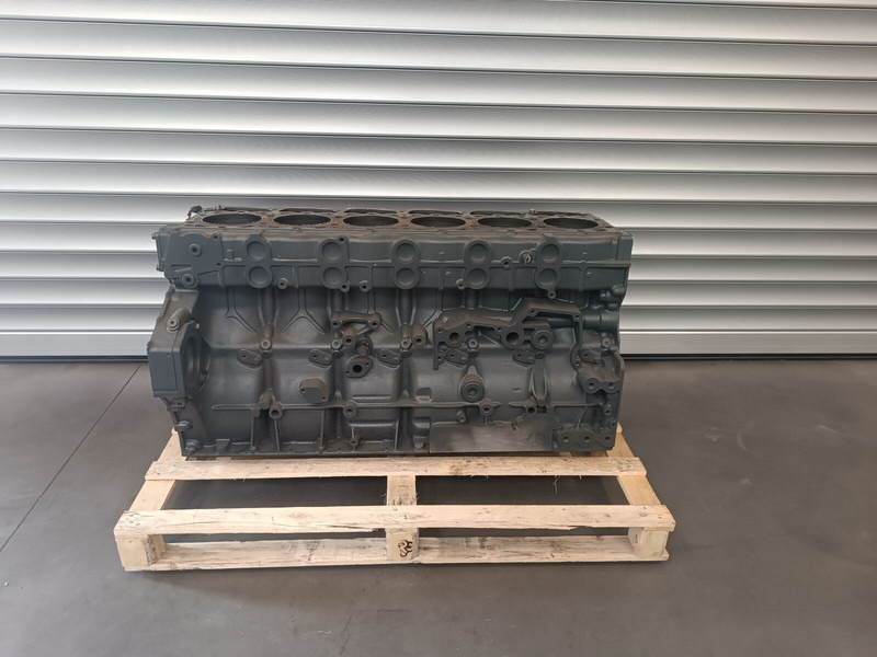 DAF XF106 Euro 6 - Cilindar blok za Kamion: slika 1 DAF XF106 Euro 6 - Cilindar blok za Kamion: slika 1