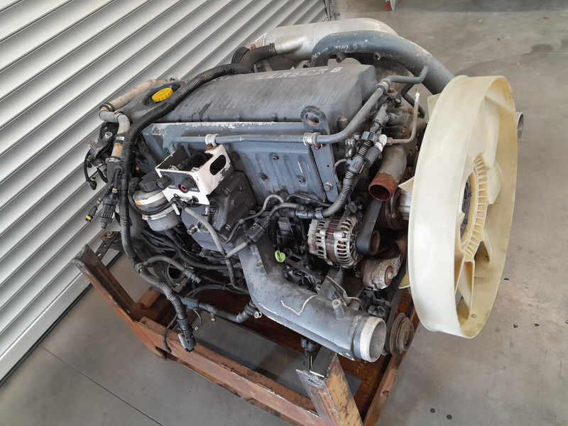 Iveco F2BE0681 EURO 3 STRALIS CURSOR 8 - Motor za Kamion: slika 1 Iveco F2BE0681 EURO 3 STRALIS CURSOR 8 - Motor za Kamion: slika 1