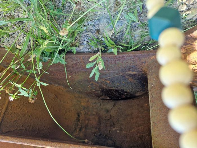 GEITH GEITH - Kašika: slika 2 GEITH GEITH - Kašika: slika 2