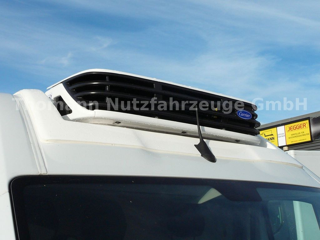 Dostavno vozilo hladnjača novi Opel Movano Kühlkastenwagen Xarios 300 GH: slika 14