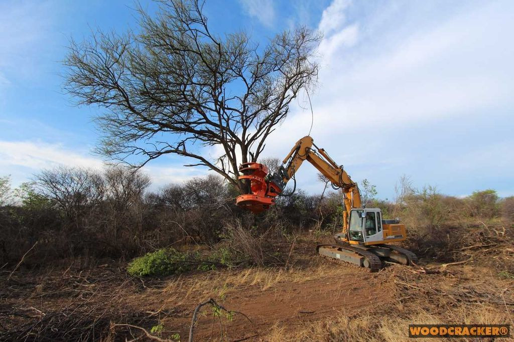 Westtech Woodcracker C550 Fällgreifer Baumschere - Dodatak za Šumarska oprema: slika 1 Westtech Woodcracker C550 Fällgreifer Baumschere - Dodatak za Šumarska oprema: slika 1